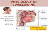 Physiology of swallowing