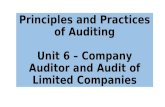 PPA - Unit 6 - Company Auditor