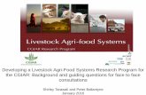 Developing a Livestock Agri-Food Systems Research Program for the CGIAR: Background and guiding questions for face to face consultations