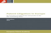 Patent litigation in_europe_2013_en