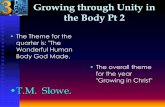 Growing through unity in the body pt 2