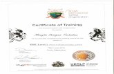 Health, Safety & Enviroment 1,2 & 3 Certificate0001