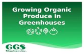 Growing Organic Produce in Greenhouses