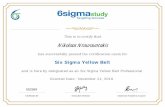 6sigma certificate yellow belt