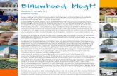 Blauwhoed Blogt! - Geluk of visie?
