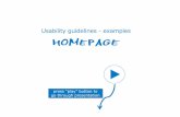 Website Promotion - 2 usability   1 home