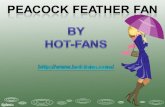 Peacock Feather Fan by Hot-Fan