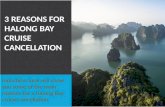 3 reasons for halong bay cruise cancellation