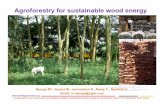 Agroforestry for sustainable wood energy