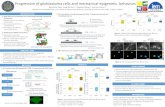 Progression of glioblastoma cells and mechanical-epigenetic behaviors