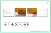 Sit+Store Project  Design Presentation