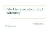 File organization and indexing