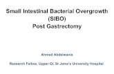 SIBO post gastrectomy
