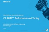 CA IDMS Performance and Tuning