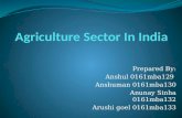 Indian Agriculture - 2016