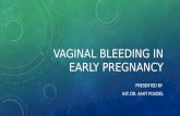 Vaginal bleeding in early pregnancy