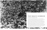 The Waco Horror by Alekz Wray