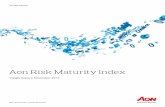 2015 RMI Risk Maturity Index Report-1