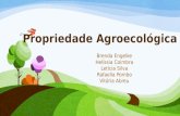 Propriedade Agroecológica (Direito Agrário)