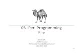 Perl Programming - 03 Programming File