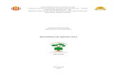 Relatório Sala Verde Judith Cortesão 2015