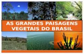 As paisagens vegetais do brasil
