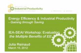 Energy Efficiency & Industrial Productivity - Gaining through Saving, Julia Reinaud