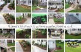 How To Achieve The Perfect Lawn Easily