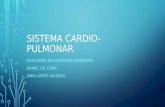 Sistema cardio-pulmonar