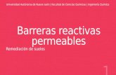 Barreras reactivas permeables