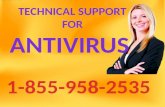 1-855-958-2535 Kaspersky Antivirus tech support phone number