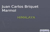 Juan Carlos Briquet Marmol himalaya