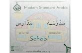 Modern standard Arabic (MSA)  words and verbs