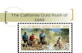 Hw#18 the california gold rush of 1849
