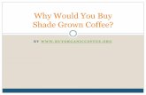 Why Would You Buy Shade Grown Coffee?