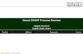 DSIOP Process Review