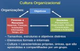 Escriturário Banco do Brasil - Cultura Organizacional