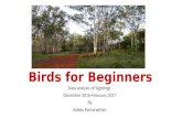 Online Course on Birds for Beginners_Project work by Subramanyam Ramanathan