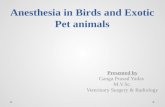 Anesthesia in birds and exotic pet animals