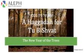 A Digital Haggadah for Tu BiShvat