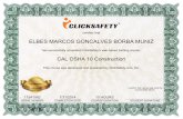 Certificate OSHA Elbes
