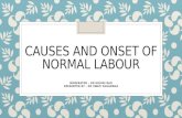 CAUSES AND ONSET OF NORMAL LABOUR