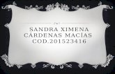 SANDRA CARDENAS