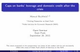 Manuel Buchholz. Caps on banks’ leverage and domestic credit after the crisis