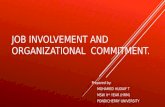 Job involvement and organizational  commitment