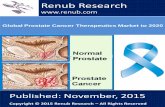 Global Prostate Cancer Therapeutics Market to 2020