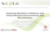 Analyzing Big Data in Medicine with Virtual Research Environments and Microservices