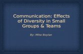 Communication: Diversity In Small Groups & Teams