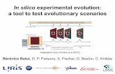 Recomb-CG 2013 - In silico experimental evolution: a tool to test evolutionary scenarios
