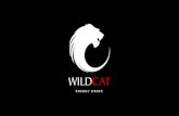 WildCat - New Partnership Presentation 07.12.2016